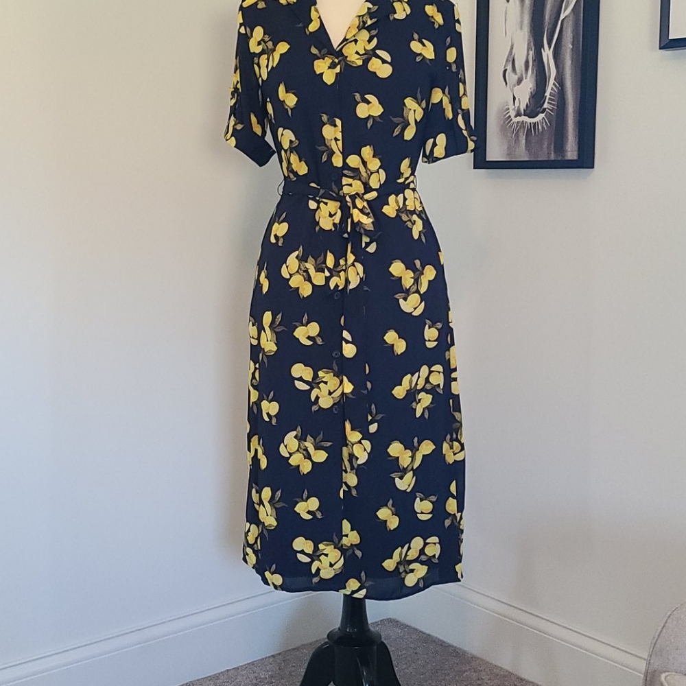NWT Banana Republic Dress